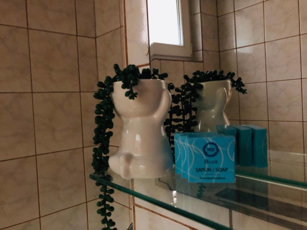Ana-Maria Home Râmnicu Vâlcea Eksteriør billede